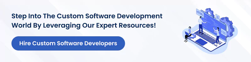 hire custom software developers